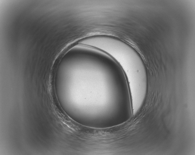 X0000066000387200603031033