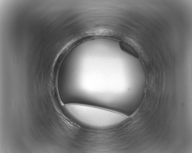 X0000066000392200603031033