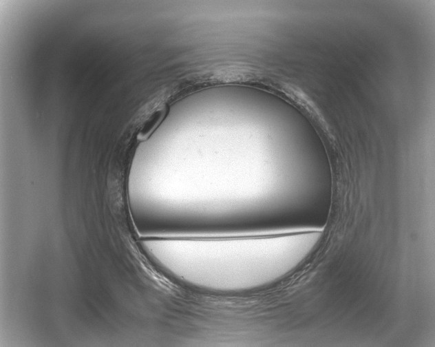 X0000066000393200603031033