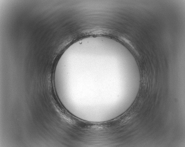 X0000066000394200603031033