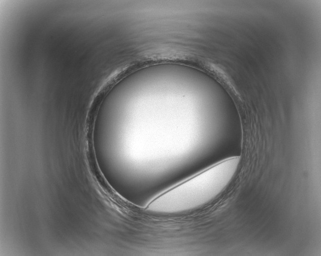 X0000066000395200603031033