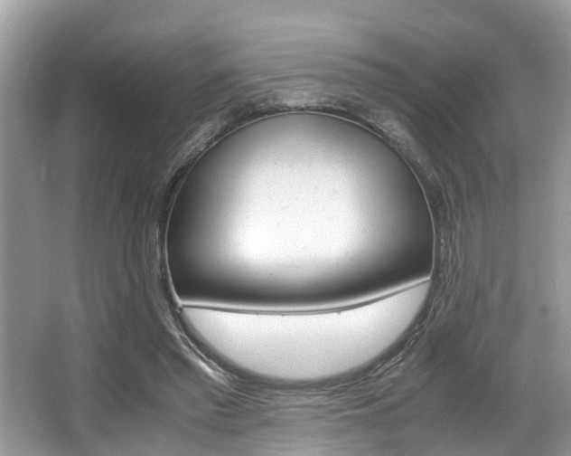 X0000066000397200603031033