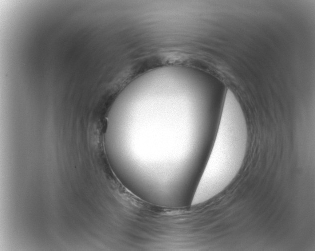 X0000066000417200603031033