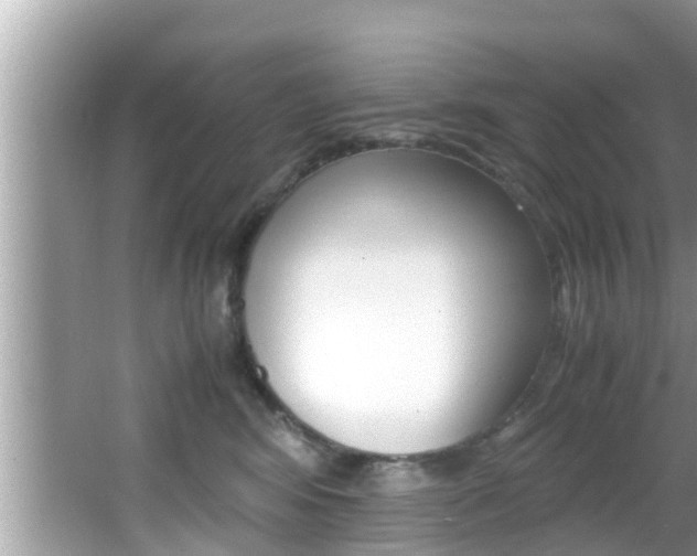 X0000066000424200603031033