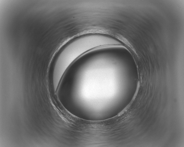 X0000066000436200603031032