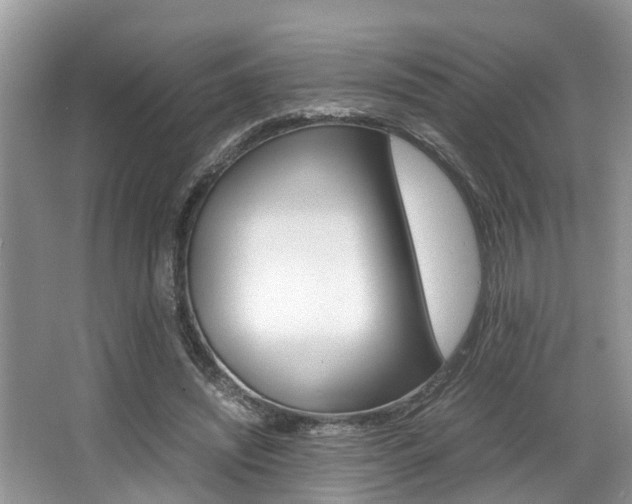 X0000066000444200603031032