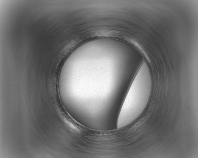 X0000066000445200603031032