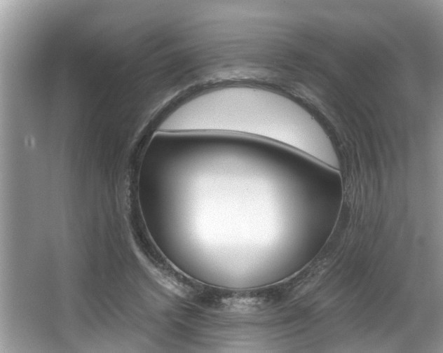 X0000066000448200603031032