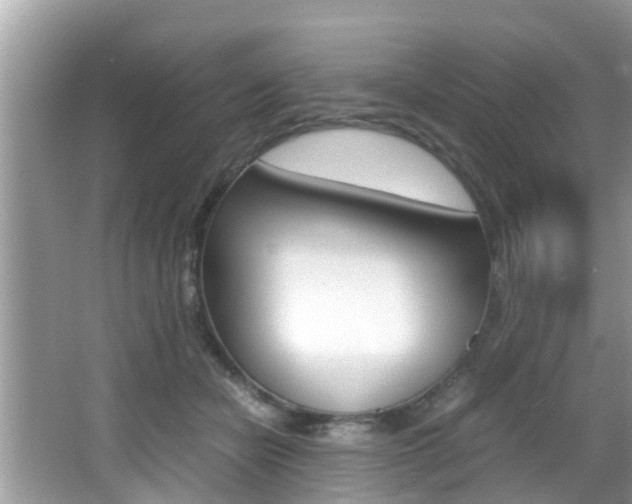 X0000066000462200603031032