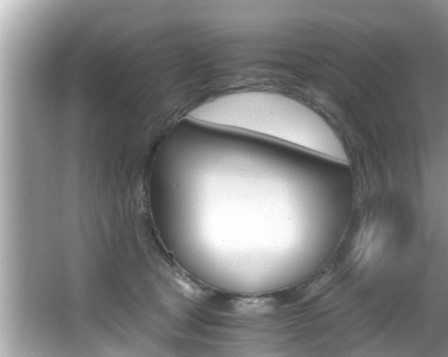 X0000066000465200603031032