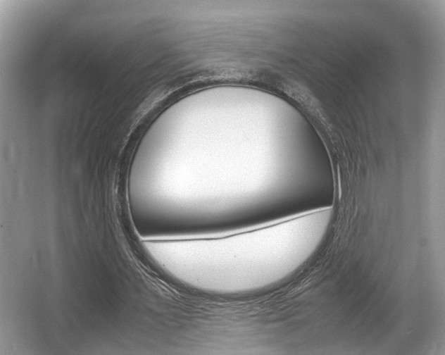 X0000066000483200603031032