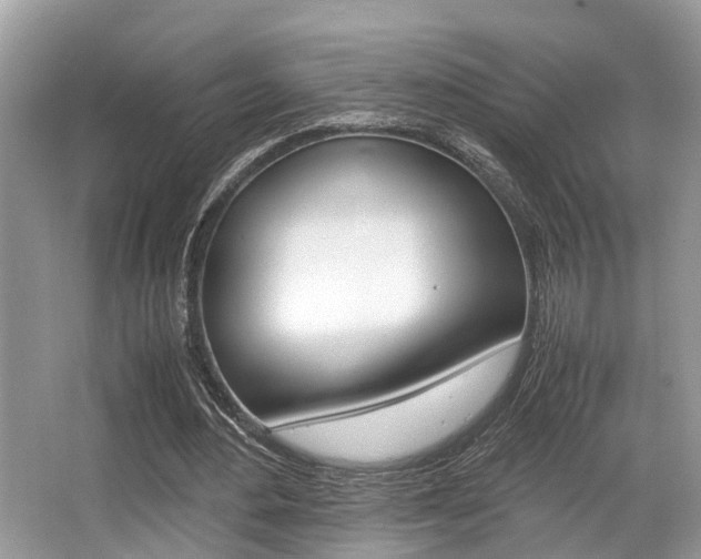 X0000066000484200603031032