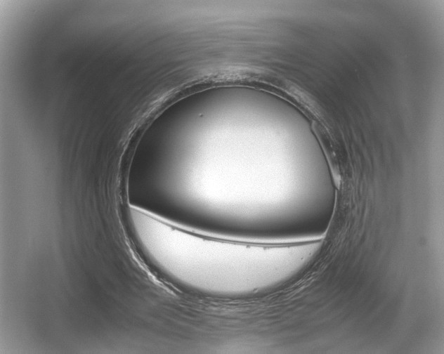 X0000066000485200603031032