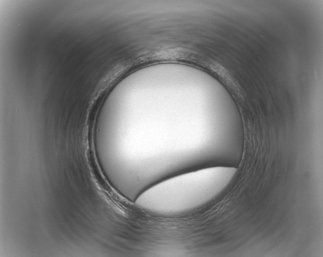 X0000066000486200603031032