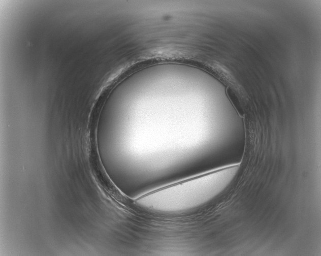 X0000066000488200603031032