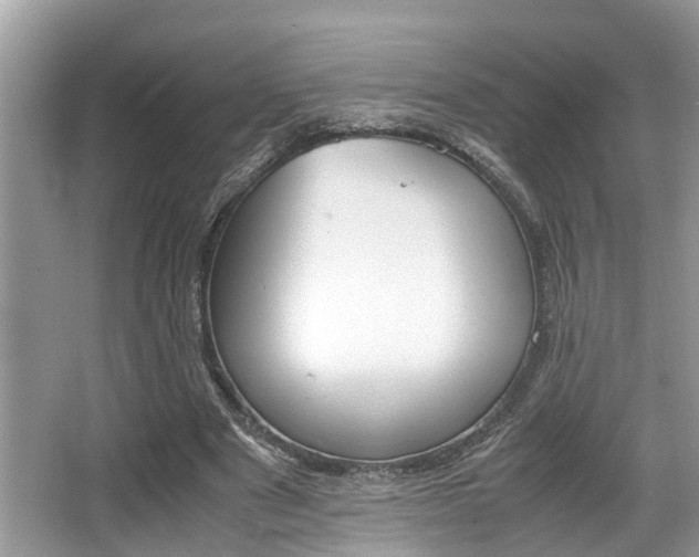 X0000066000489200603031032