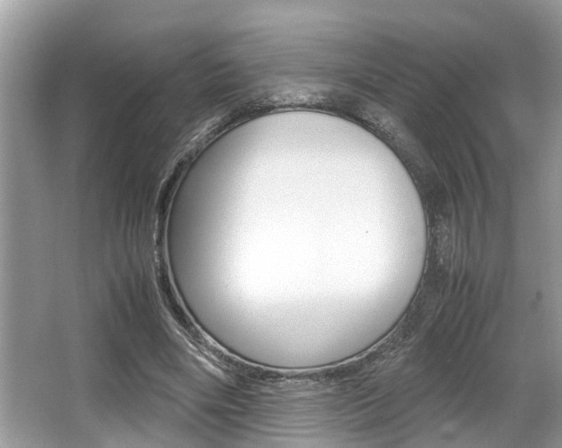 X0000066000490200603031032