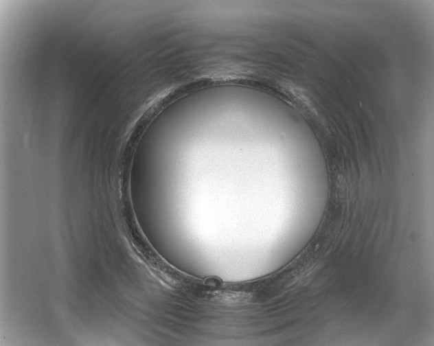 X0000066000539200603031030
