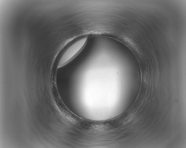 X0000066000540200603031030