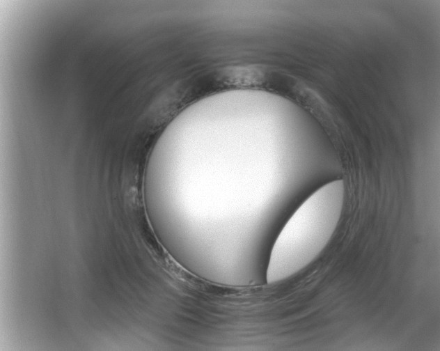 X0000066000553200603031031