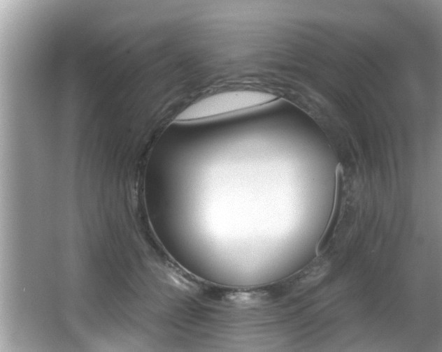 X0000066000558200603031031
