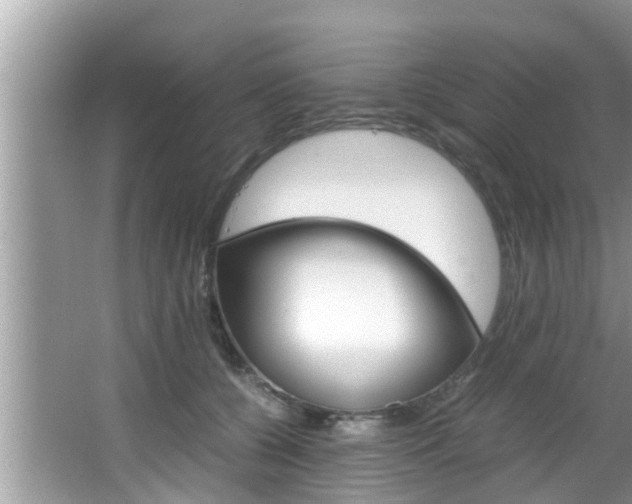 X0000066000560200603031031