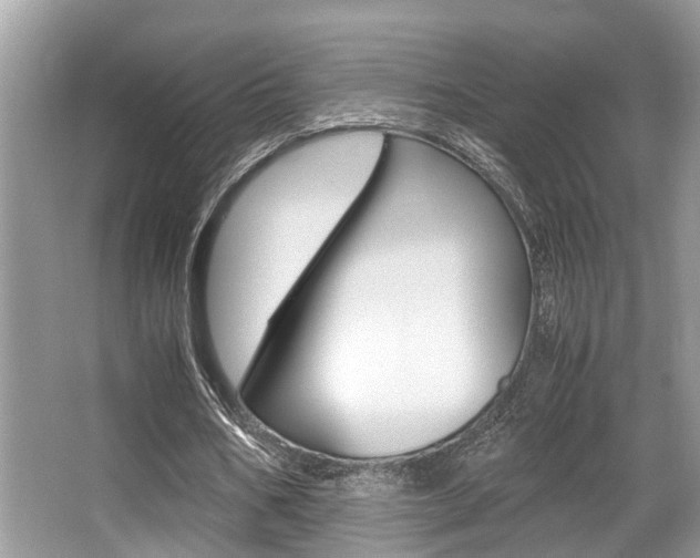 X0000066000578200603031030