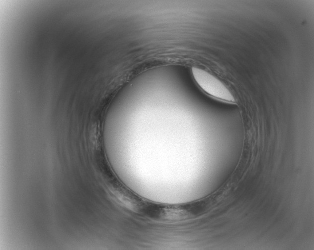 X0000066000605200603031030