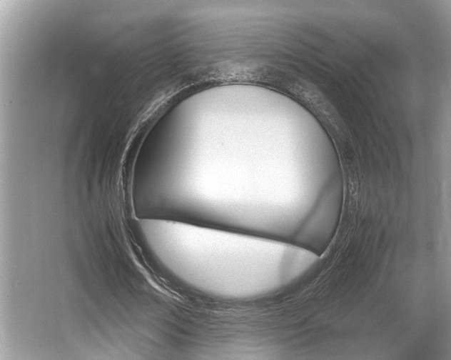 X0000066000674200603031029