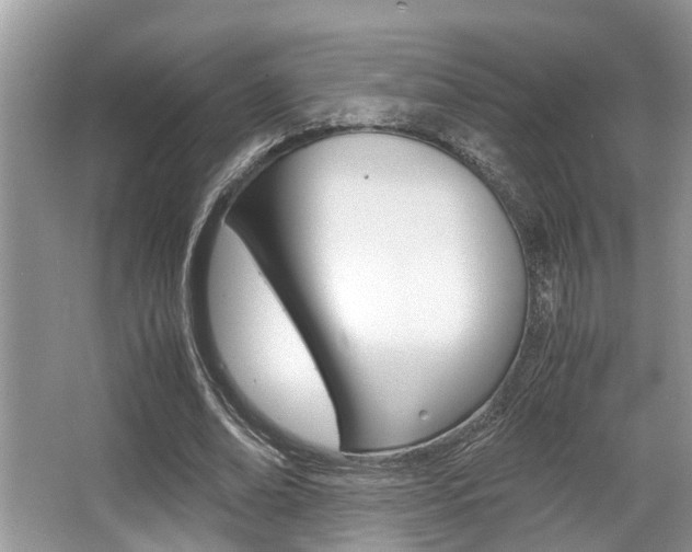 X0000066000678200603031028