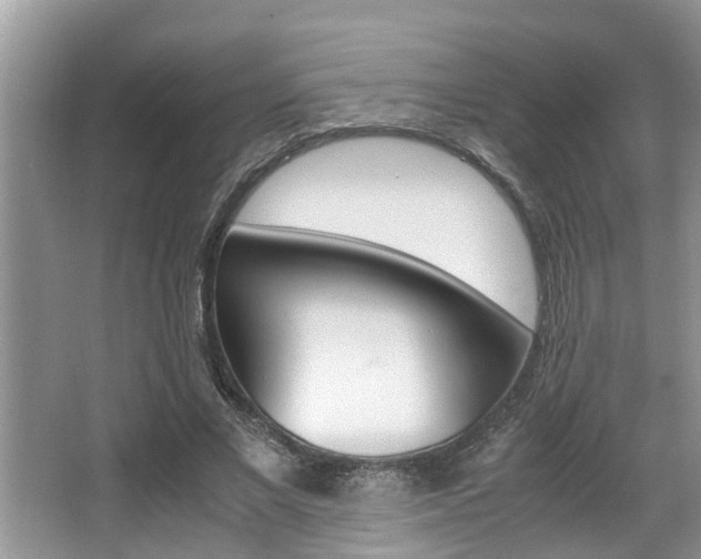 X0000066000685200603031028