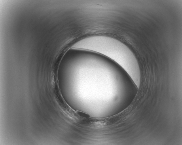 X0000066000692200603031028