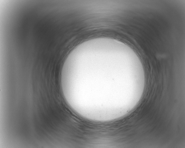 X0000066000701200603031028