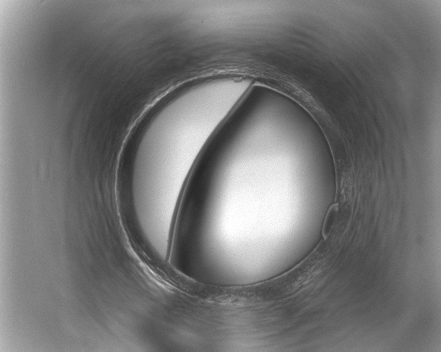 X0000066000722200603031027