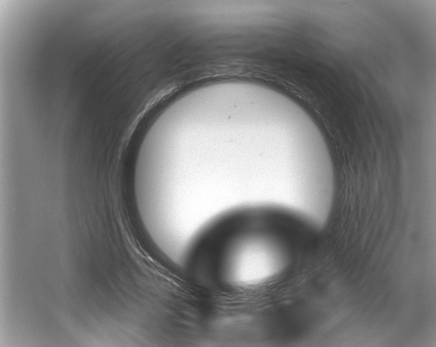 X0000066000731200603031027