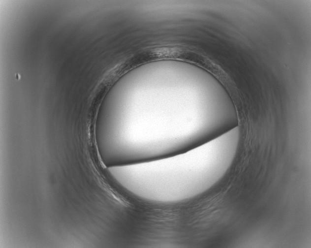 X0000066000733200603031027