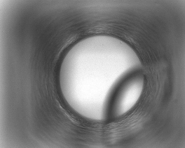 X0000066000735200603031027