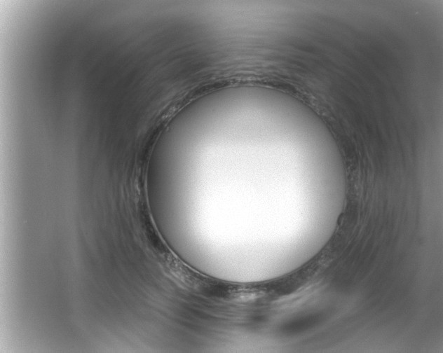 X0000066000746200603031027