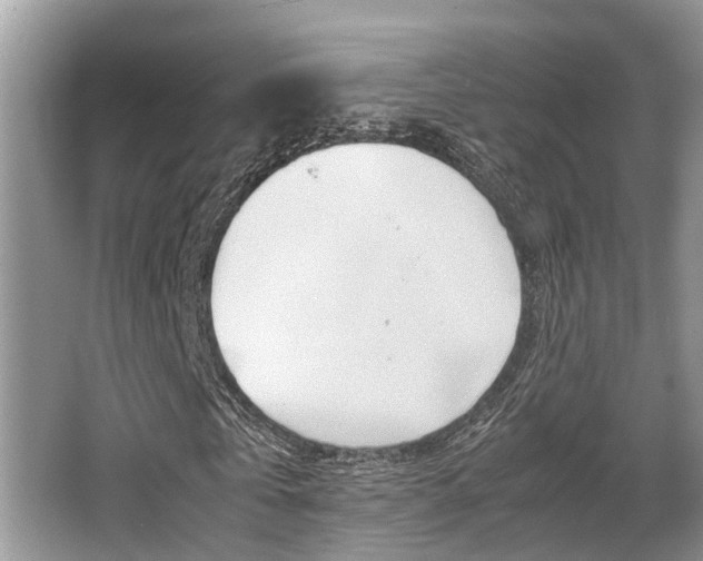 X0000066000769200603031027