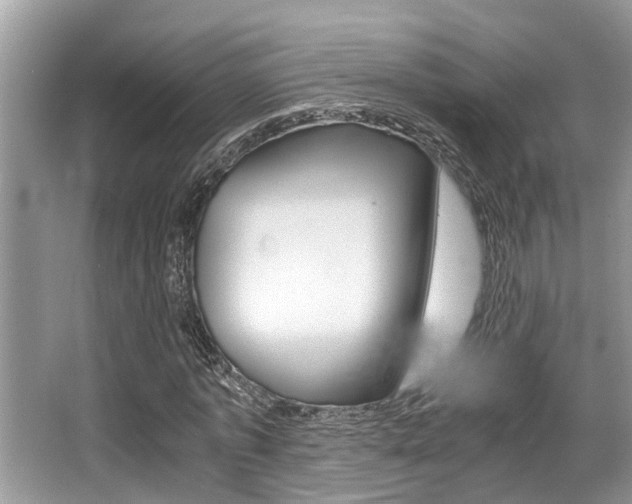 X0000066000773200603031027