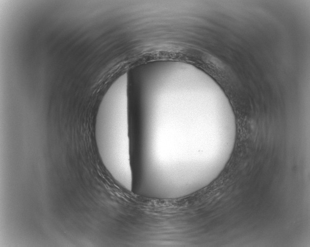 X0000066000774200603031027