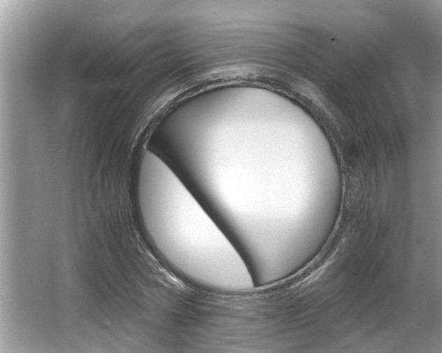 X0000066000778200603031027
