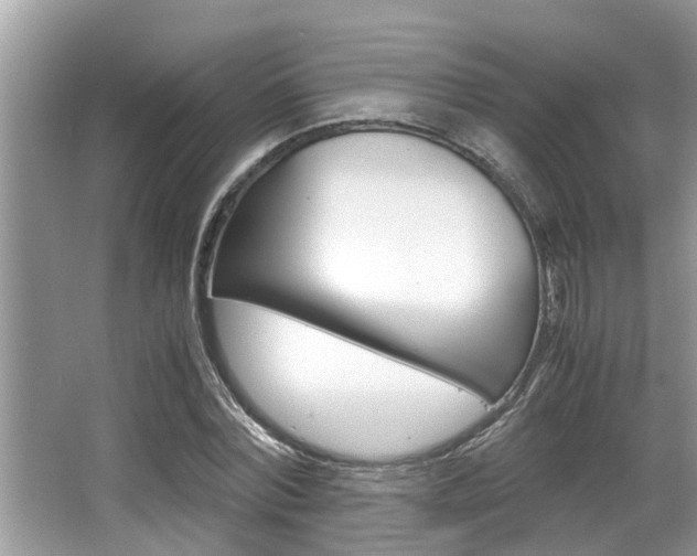 X0000066000780200603031027