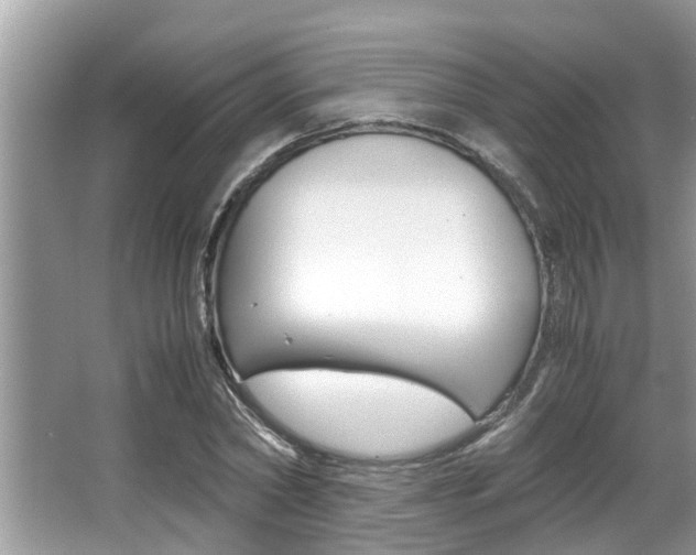 X0000066000782200603031027