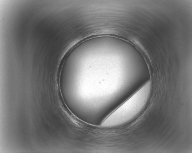 X0000066000789200603031027