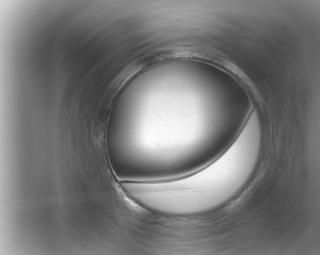X0000066000801200603031026