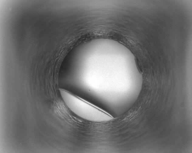 X0000066000817200603031025