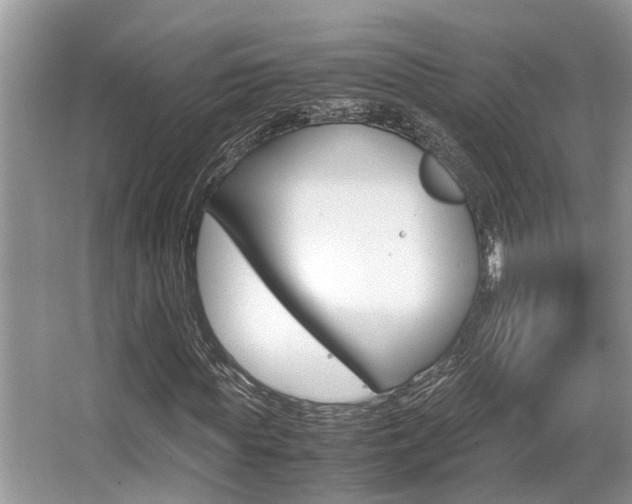 X0000066000819200603031025