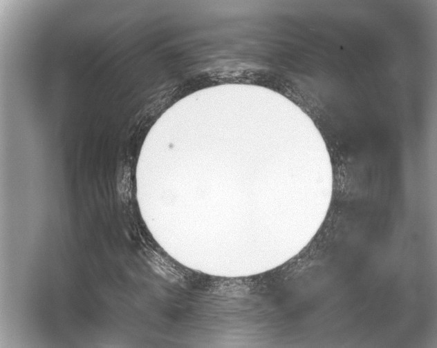 X0000066000820200603031025