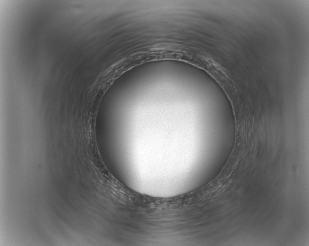 X0000066000821200603031025
